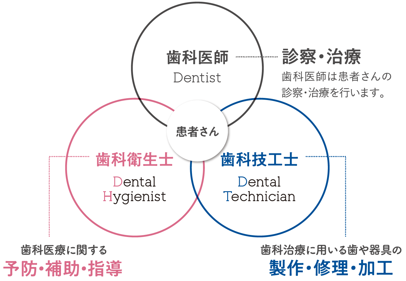 歯科技工士教科書 - その他