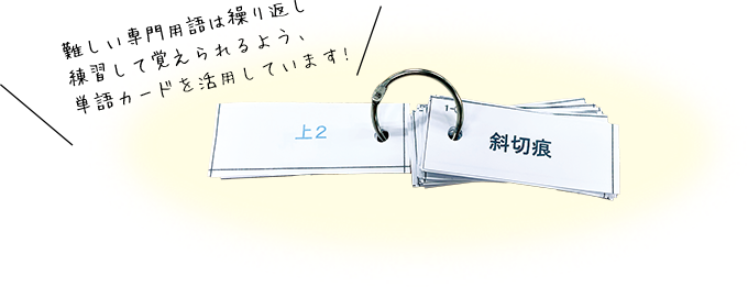 難しい専門用語は繰り返し練習して覚えられるよう、単語カードを活用しています!