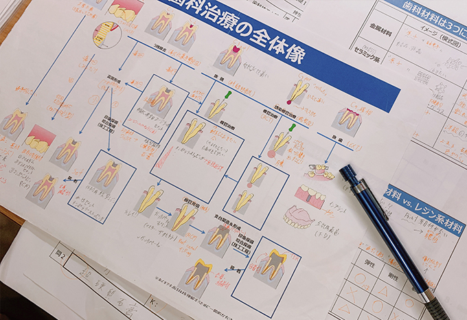 ワタシが、新東京を選んだ理由 インタビュー 大橋さん