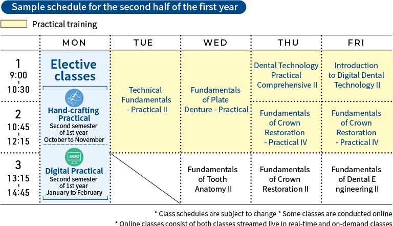 Sample schedule for the second half of the first year