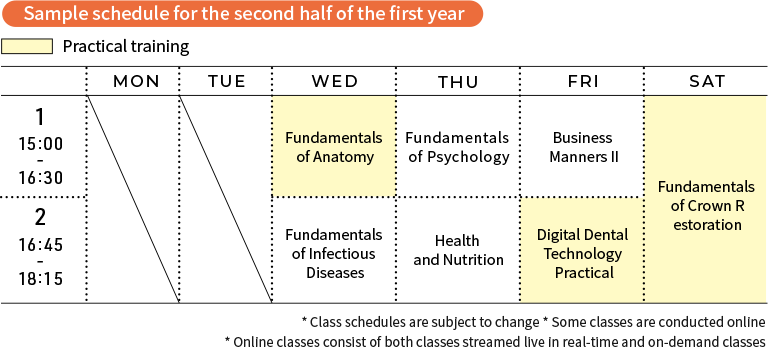 Sample schedule for the second half of the first year