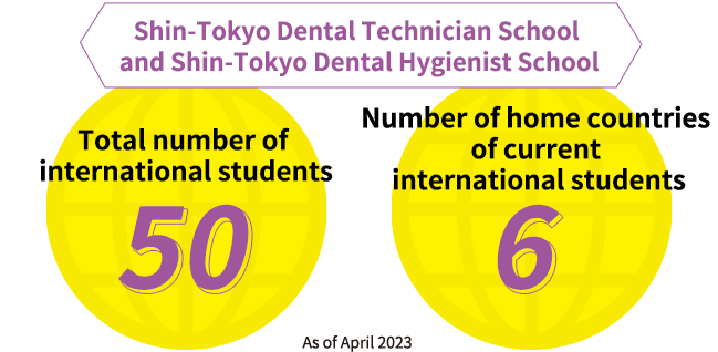 Total number of international students 50 Number of home countries of current international students 6