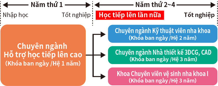 Giới thiệu về các chuyên ngành