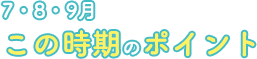 7・8・9月この時期のポイント