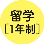 留学 1年制